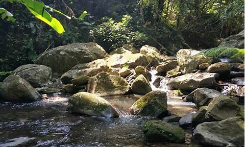 河源野趣沟_河源野趣沟景点介绍