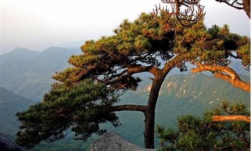 浠水三角山旅游风景区_浠水三角山旅游风景区图片