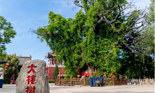 洪洞大槐树寻根祭祖园_洪洞大槐树寻根祭祖园旅游景区