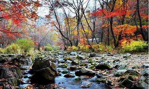 关门山风景区在哪里_关门山风景区在哪里啊